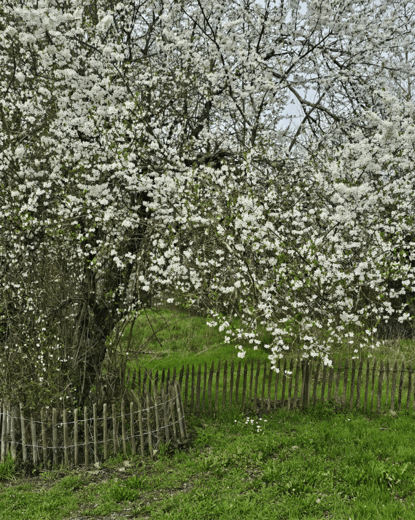 prendre du temps pour soi